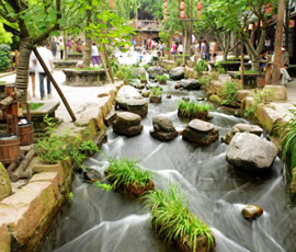 千年水碼頭、古鎮(zhèn)黃龍溪一日游
