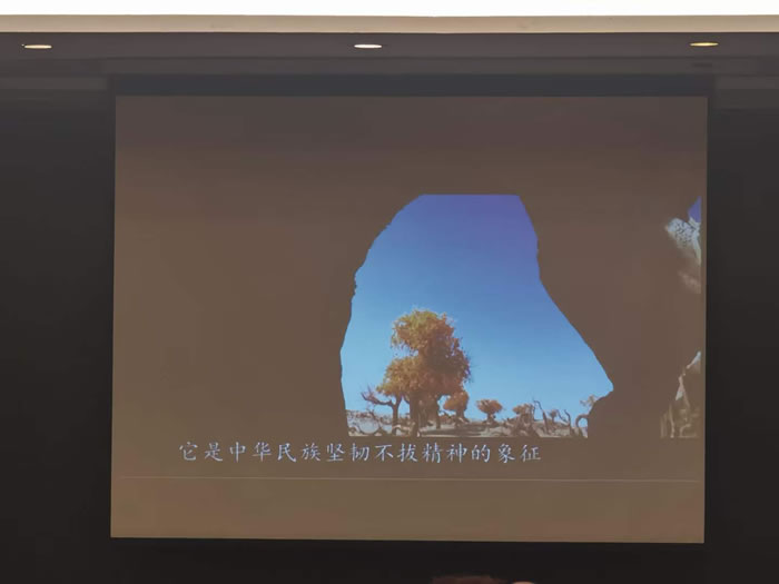 綿陽(yáng)中旅行假日旅行社舉行胡楊林、南疆專列推薦會(huì)